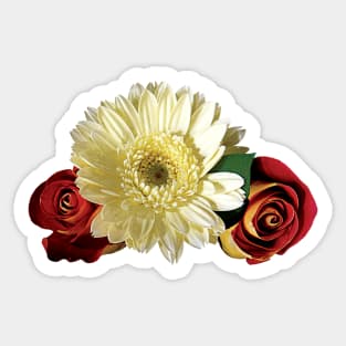 Daisies - White Gerbera Daisy with Rosebuds Sticker